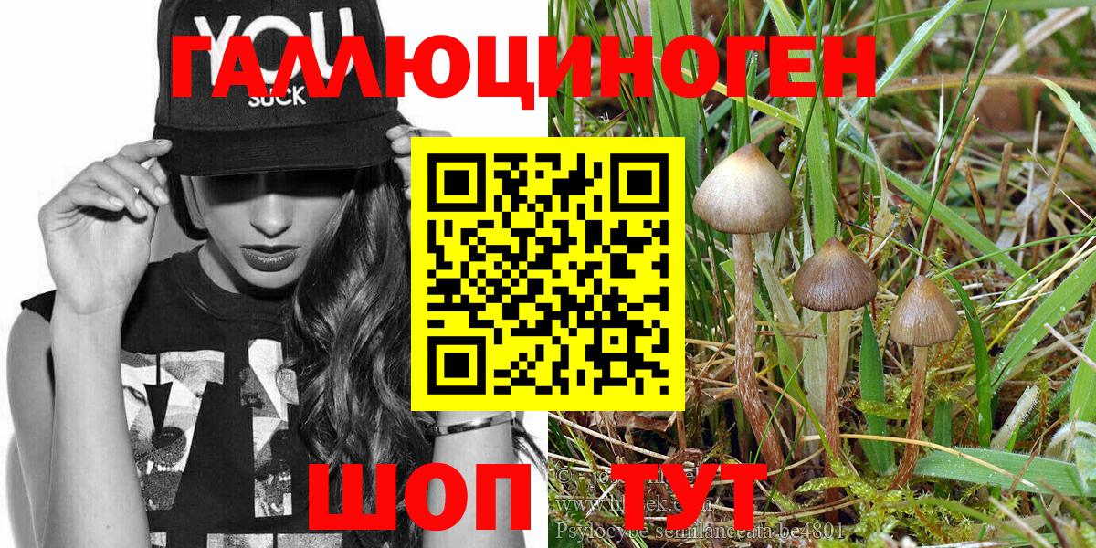 Галлюциногенные грибы Psilocybine cubensis Ухта